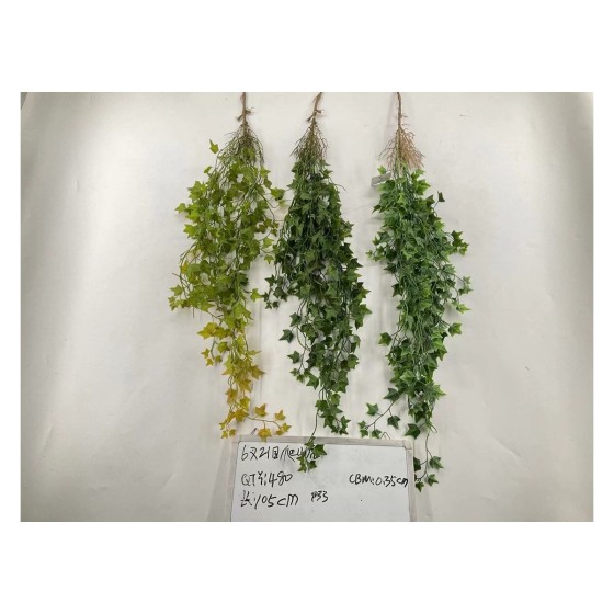 6叉21目爬山虎