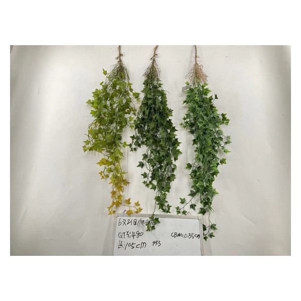 6叉21目爬山虎