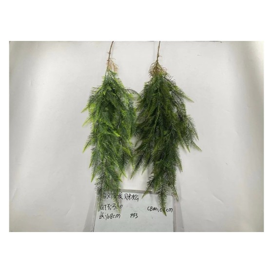 5叉69目发财松