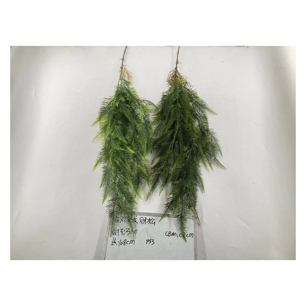 5叉69目发财松