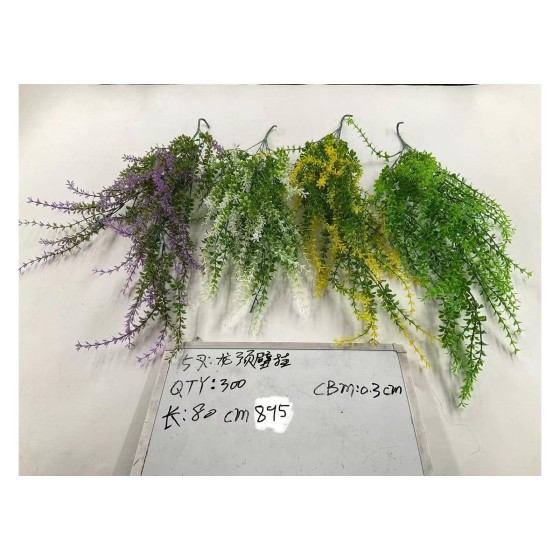 5叉龙须草