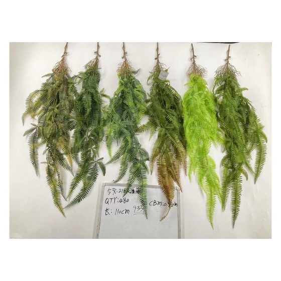 21目芒萁藤