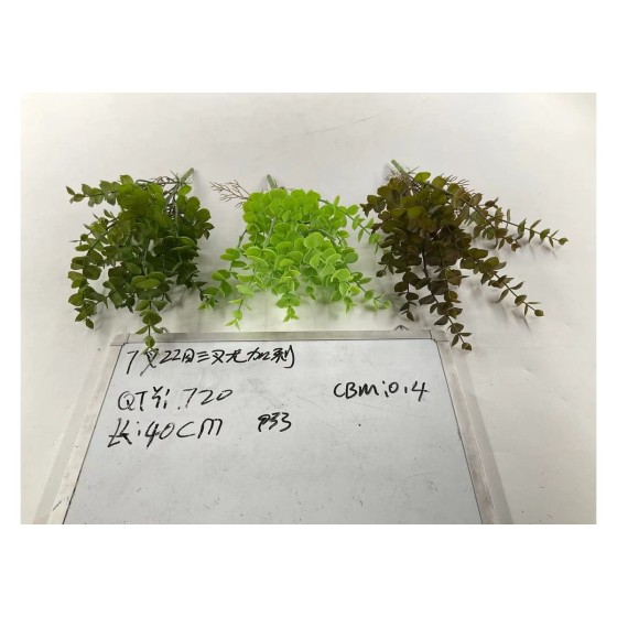 7叉22目尤加利