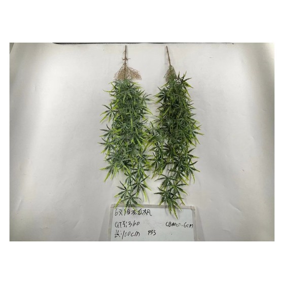 69目龙爪