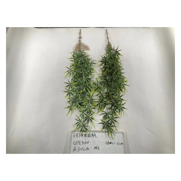 69目龙爪