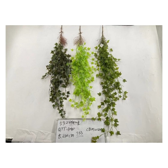 5叉21目爬山虎