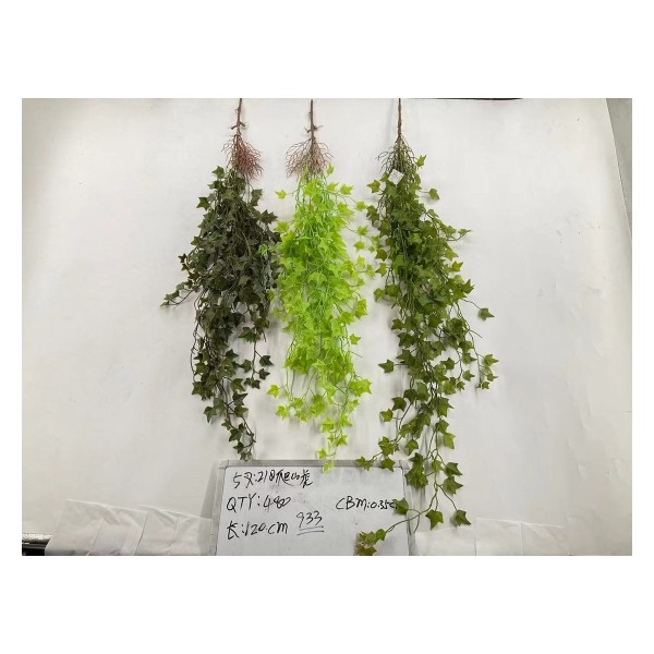 5叉21目爬山虎