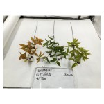 单支绿植 887-6