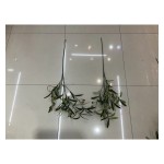 单支绿植 887-9
