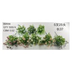 植毛系类 01