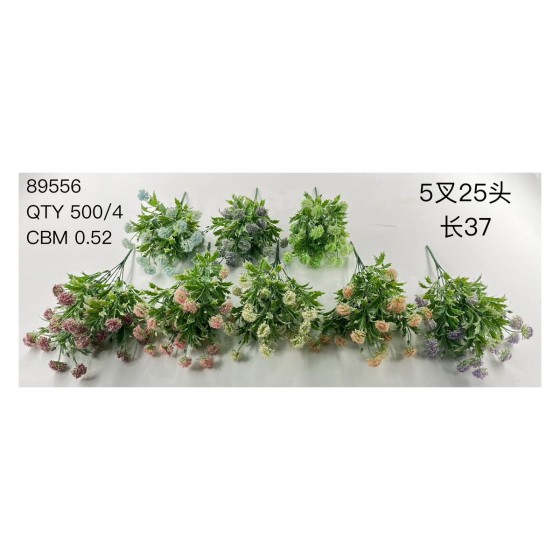 植毛系类 01