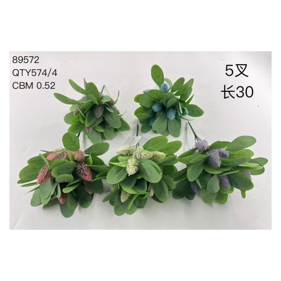 植毛系类 03