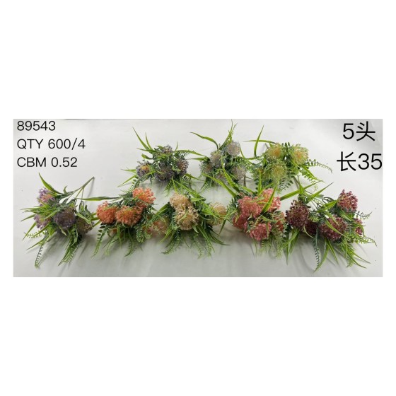 植毛系类 04