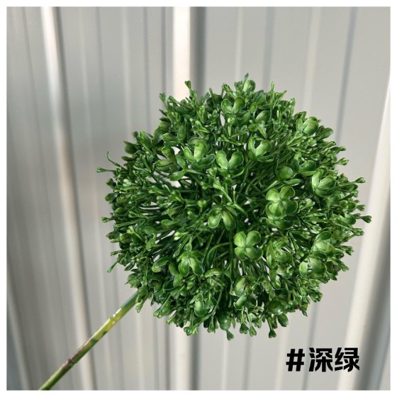 葱球 28