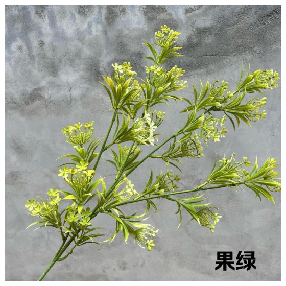 四叶梅