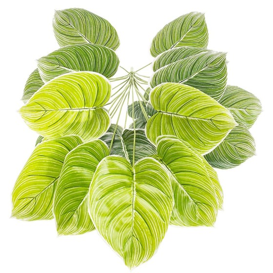 白锦花烛