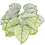 Artificial White Variegated Anthurium Plant