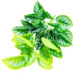 نبات أخضر صناعي 074