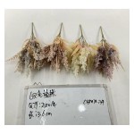 植毛系类 932-2