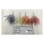 植毛系类 932-6
