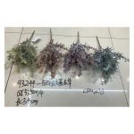 植毛系类 932-8