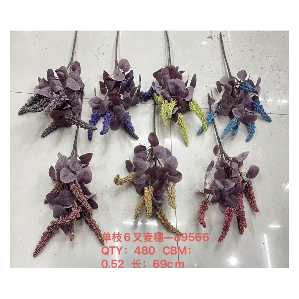 单枝6叉麦穗