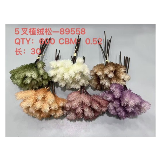 5叉植绒松