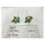 植毛系类 005