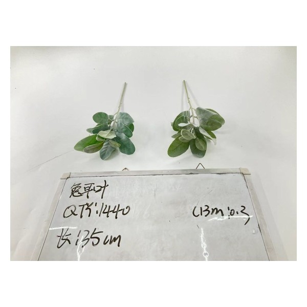 植毛系类 005
