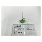 植毛系类 006