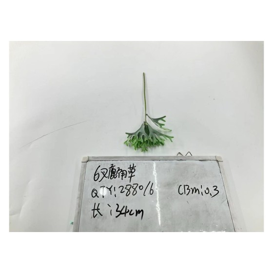 植毛系类 006
