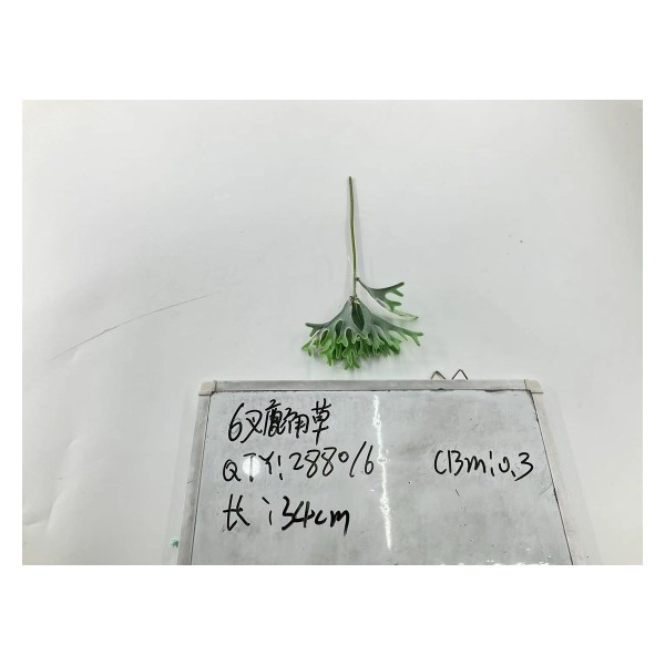 植毛系类 006
