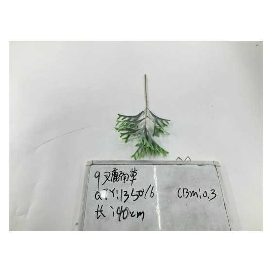 植毛系类 007