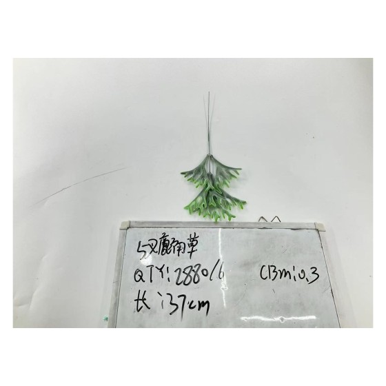 植毛系类 008