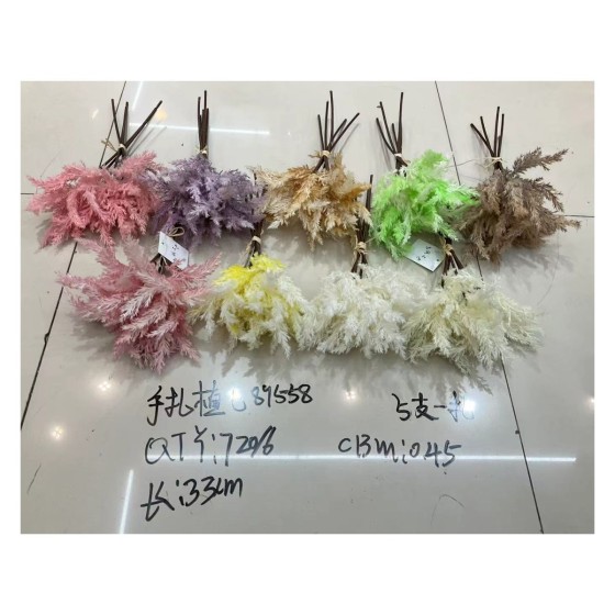 植毛系类 895-4