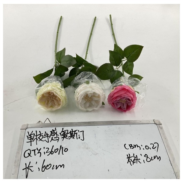 单枝手感奥斯门
