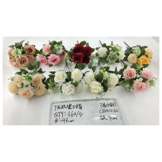 7关玖瑰王求菊
