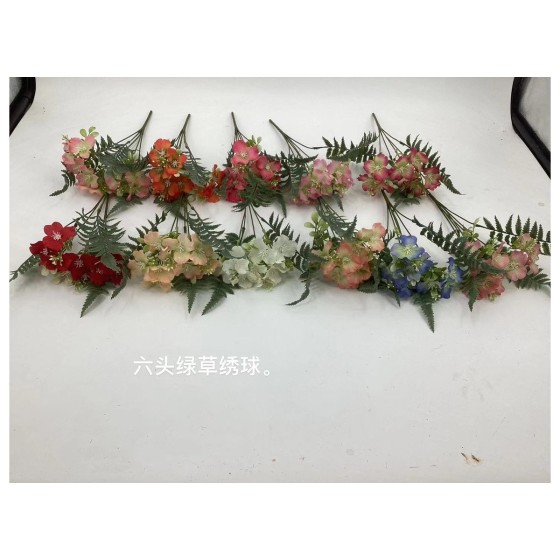 六头绿草绣球