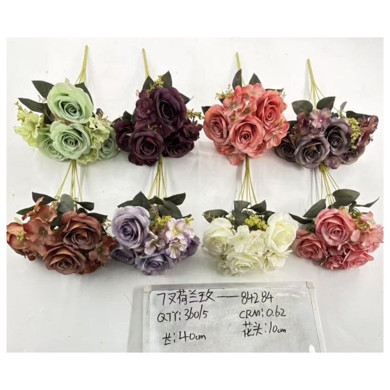 7叉荷兰玫
