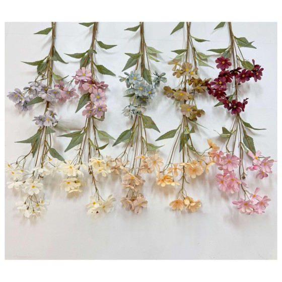 单枝樱花