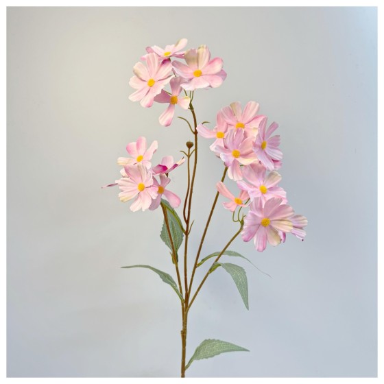 单枝樱花