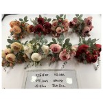 9叉苹果致.