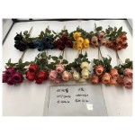 双玫蕾