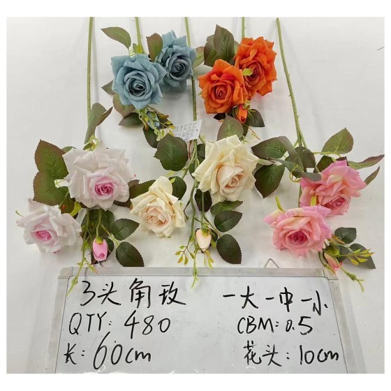 3头角玫