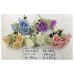 头大丽花