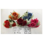 头大丽花