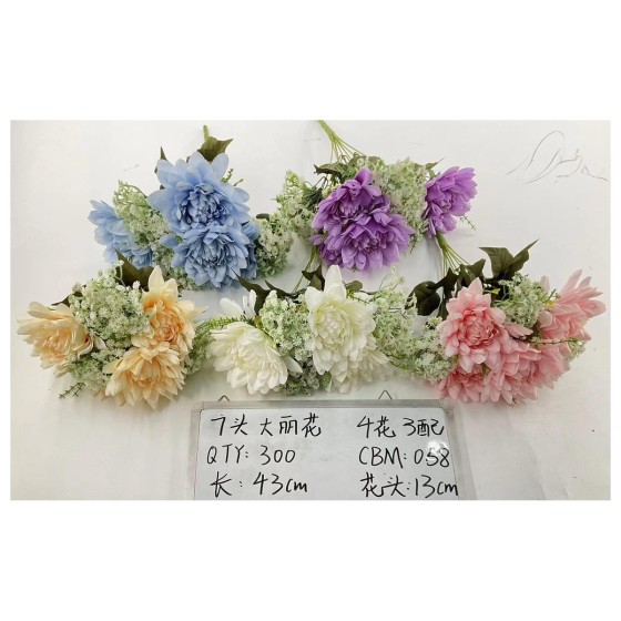 头大丽花