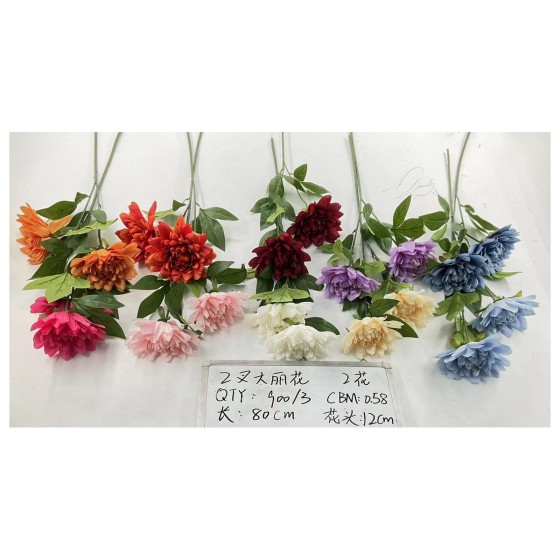 2叉太丽花