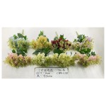7叉:长寿花