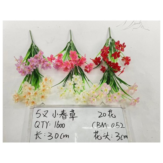 5叉小春草